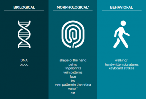 Idemia MORPHO BIOMETRICS