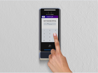 secure password authentication access system