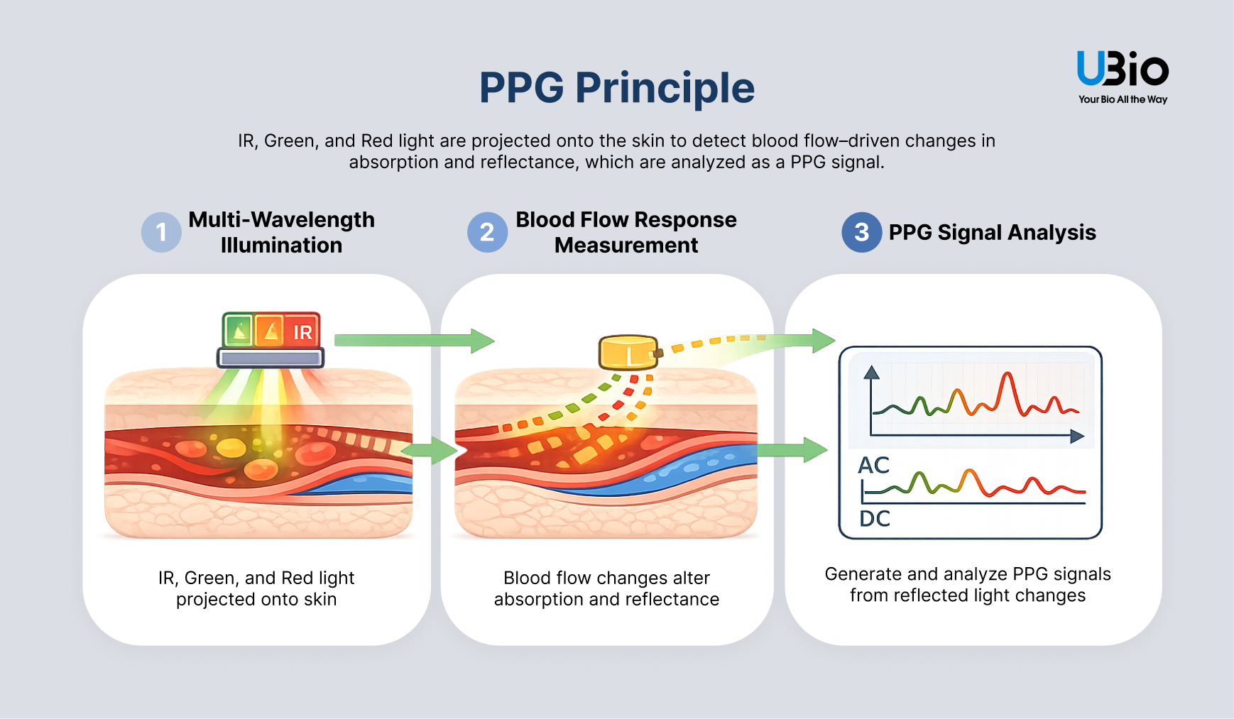 مبدأ عمل تقنية PPG - Photoplethysmography Principle